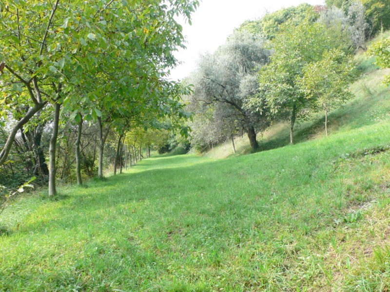 AMBIENTE E SICUREZZA                     